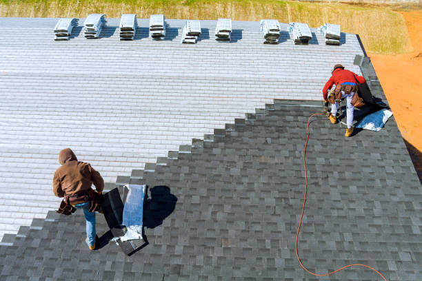 Best Metal Roofing Contractor  in Irvington, KY