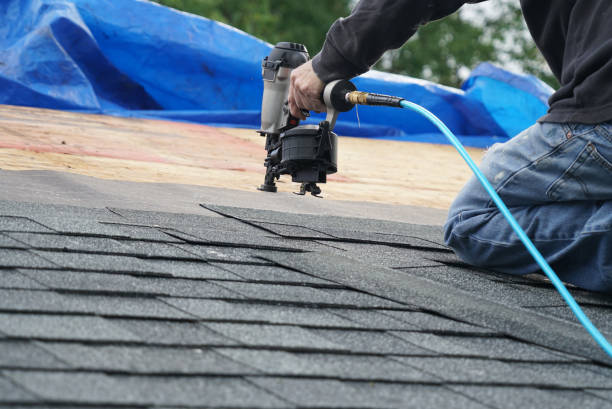 Roof Gutter Cleaning in Irvington, KY