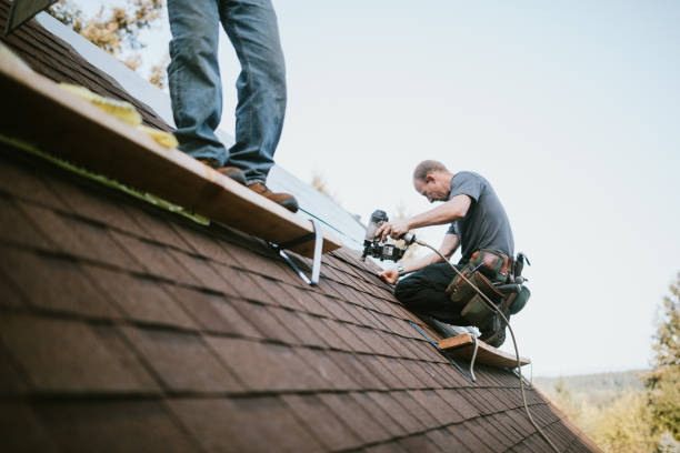 Best Roof Gutter Cleaning  in Irvington, KY
